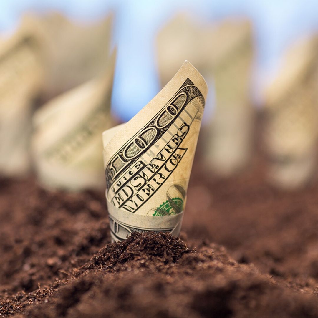 What’s a Home Garden Worth?