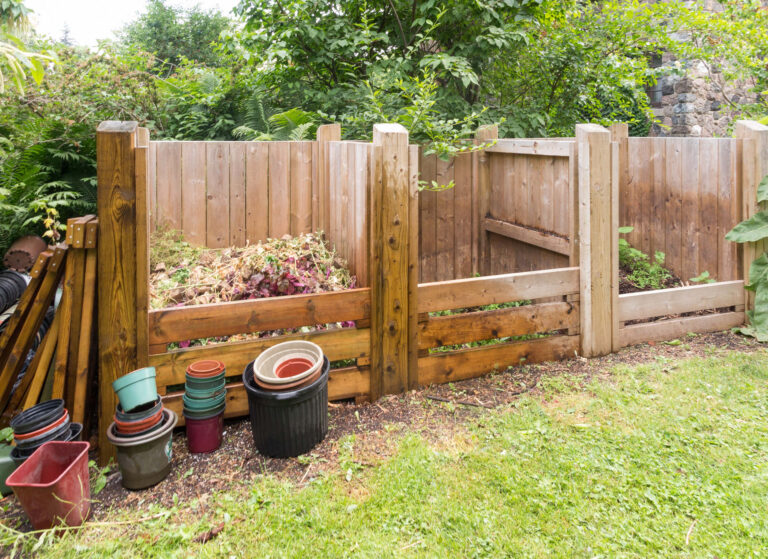 How to Choose a Compost Bin - SeedMoney