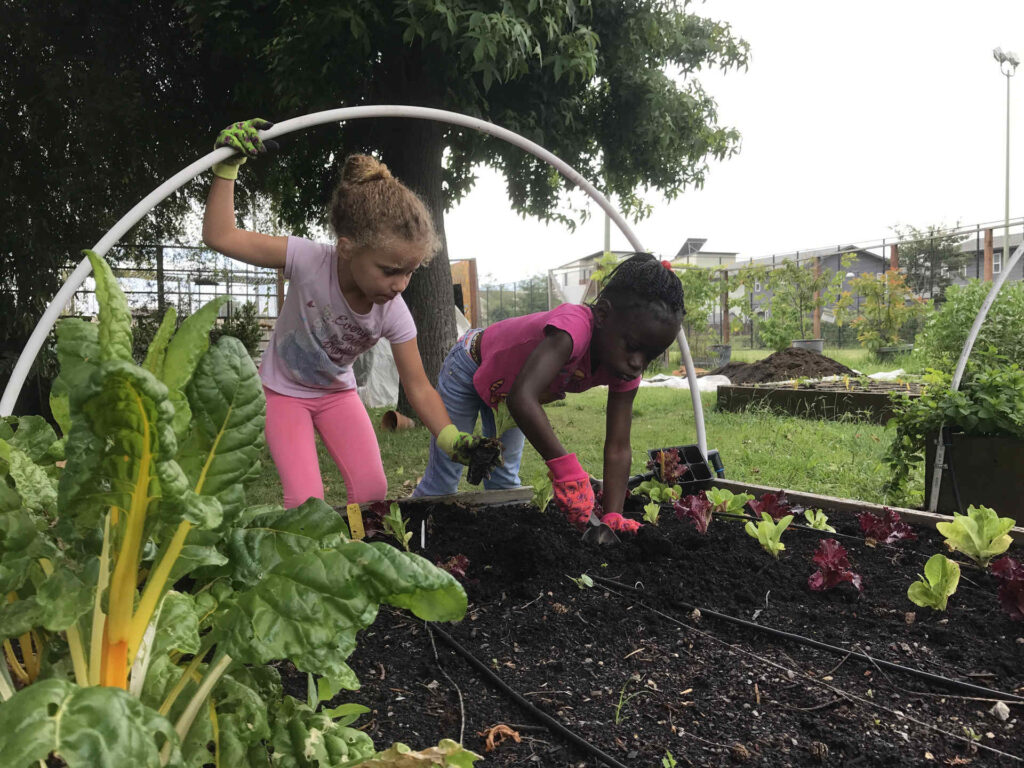 School Garden Resources - SeedMoney