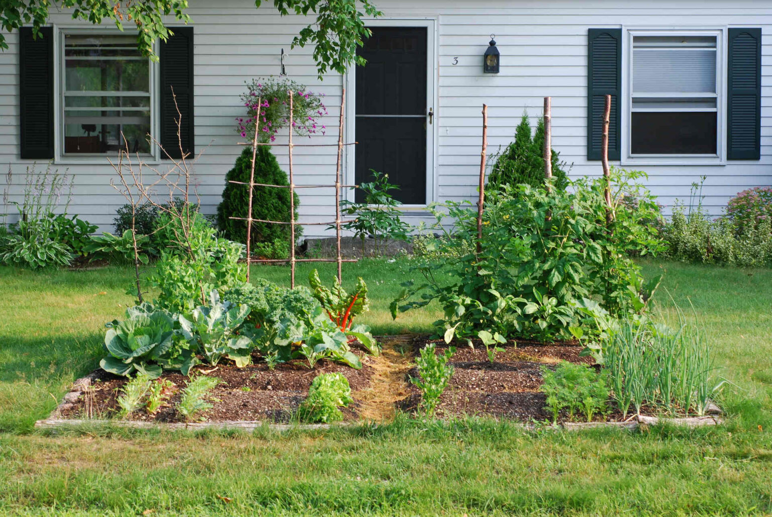 Home Garden Resources - SeedMoney