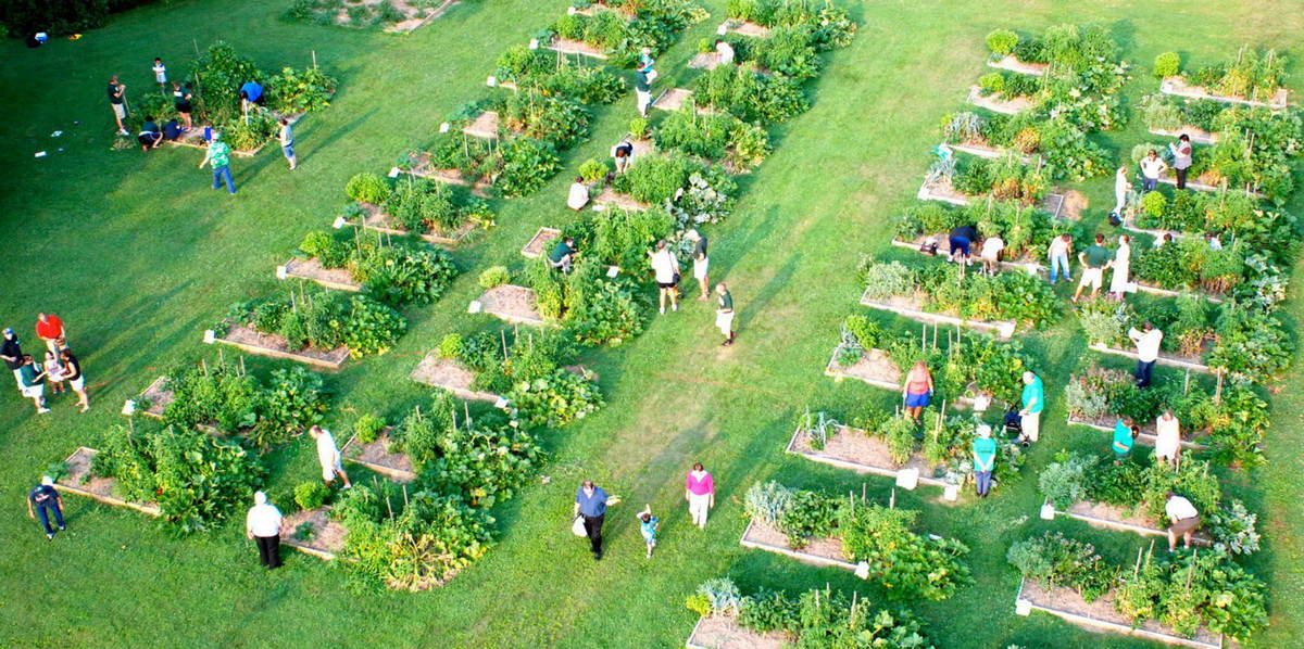 Community Gardening Resources - SeedMoney