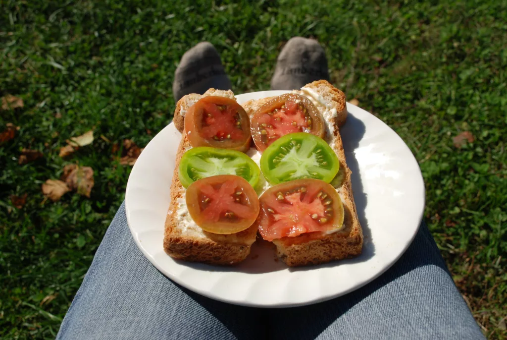 tomato mayonnaise sandwich