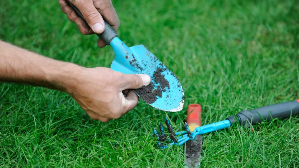winterize your vegetable garden clean tools