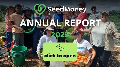SeedMoney Annual Report 2023