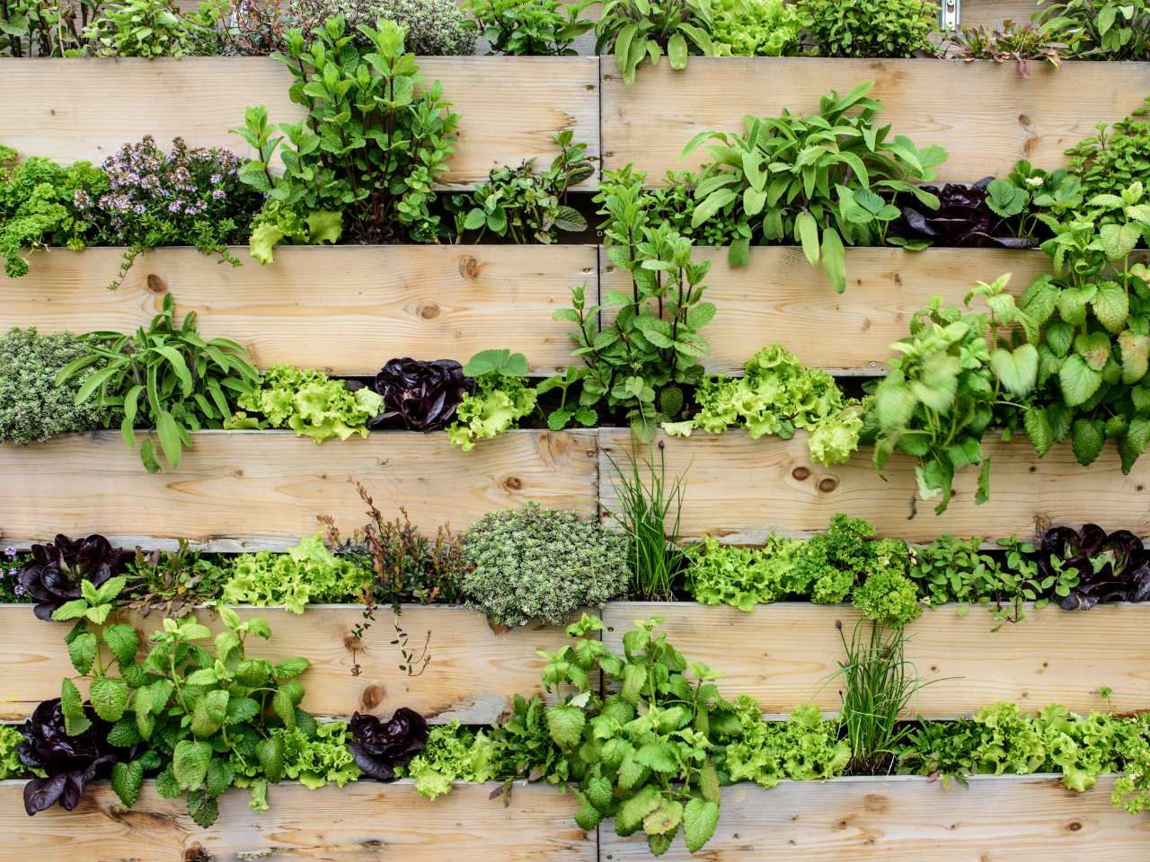 Top 5 Proven Vertical Garden Ideas & Container Hacks for Limited Space