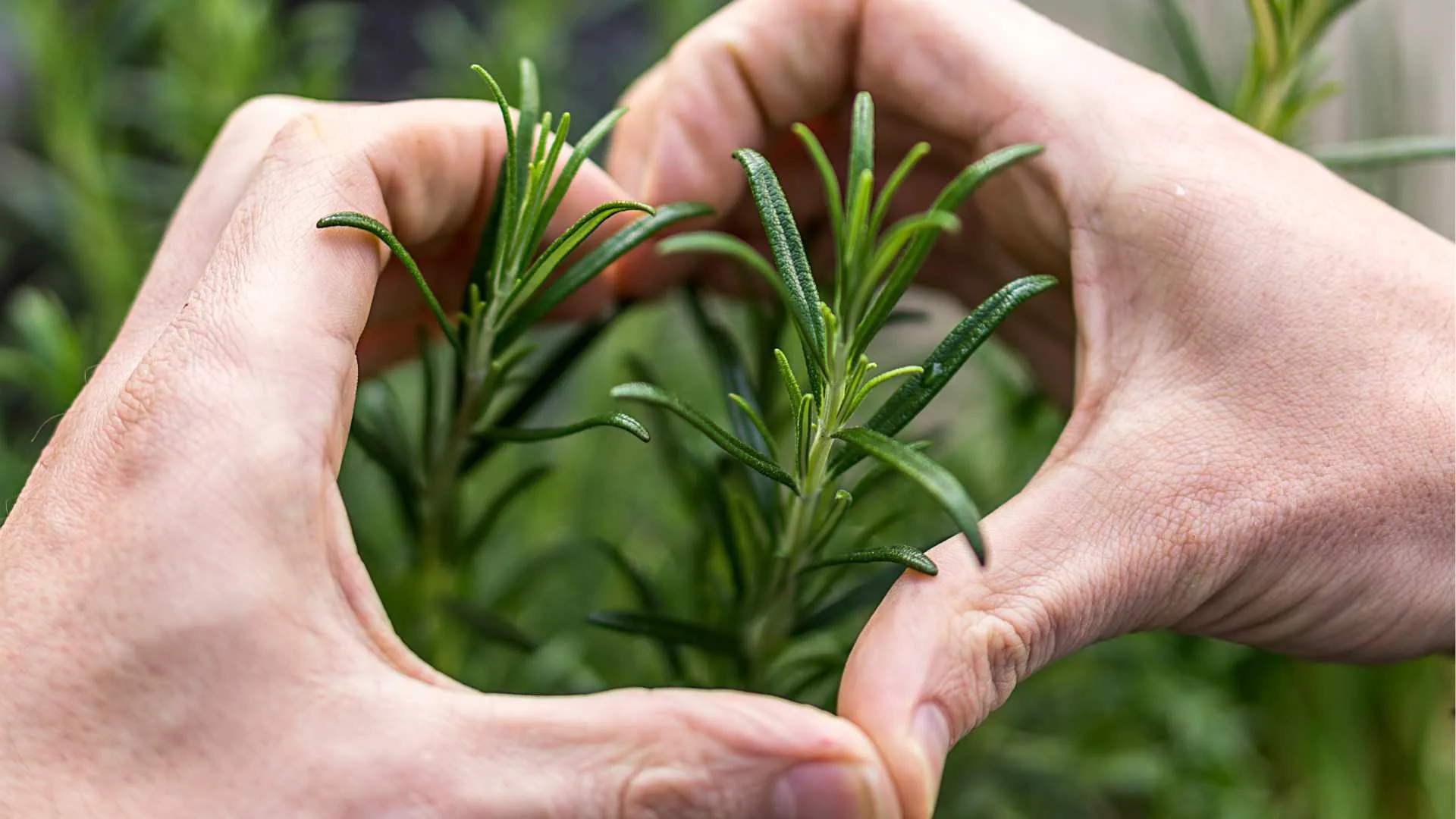 Healing Gardens: The Therapeutic Benefits of Community Gardening