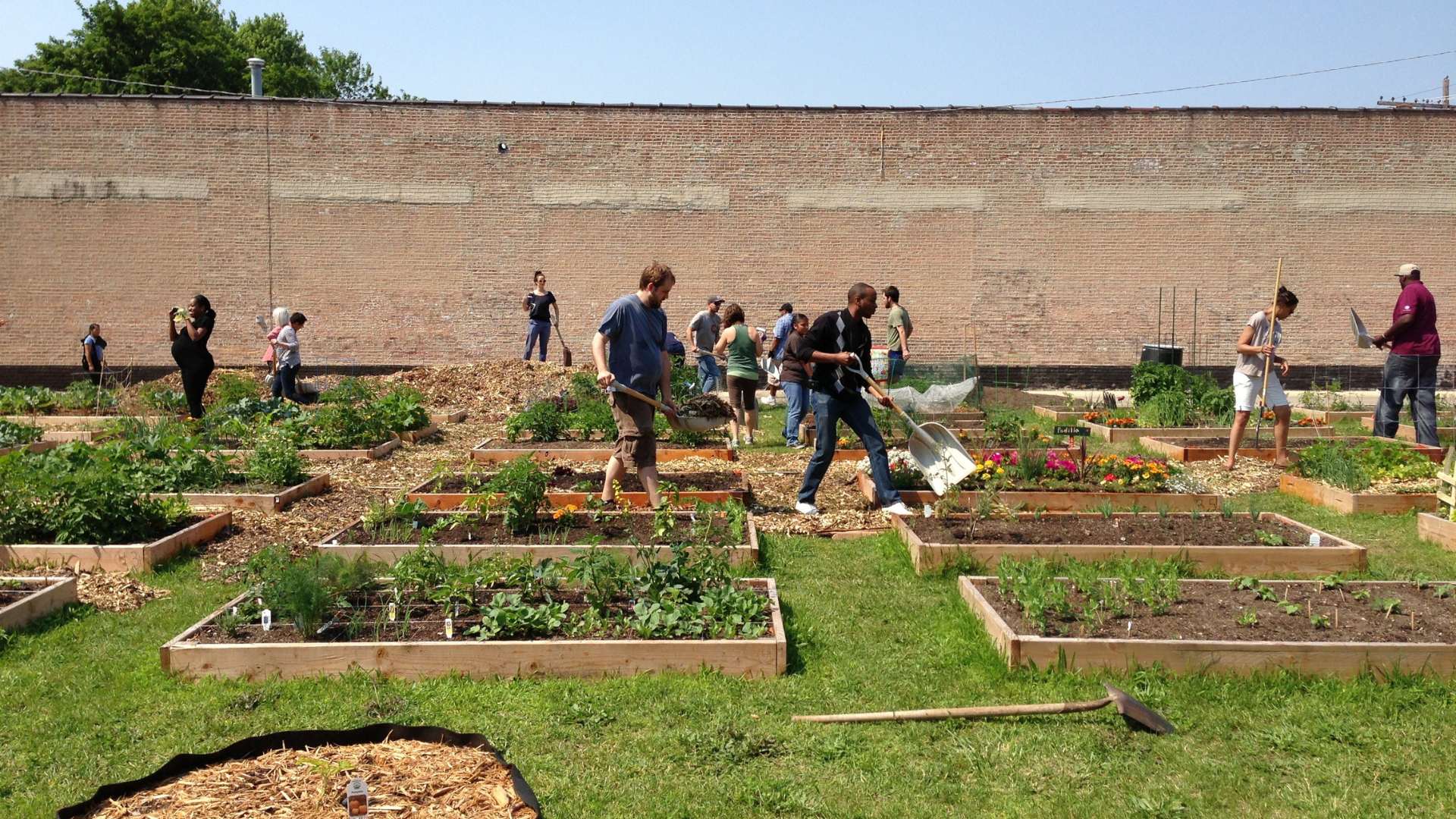 Starting a Community Garden: Laying the Foundation