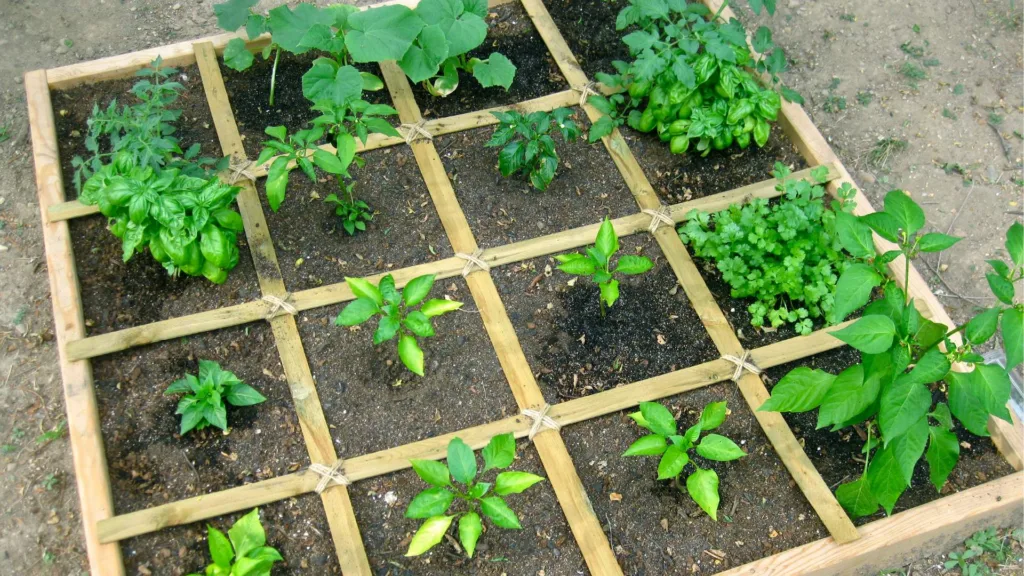 benefits of square-foot gardening