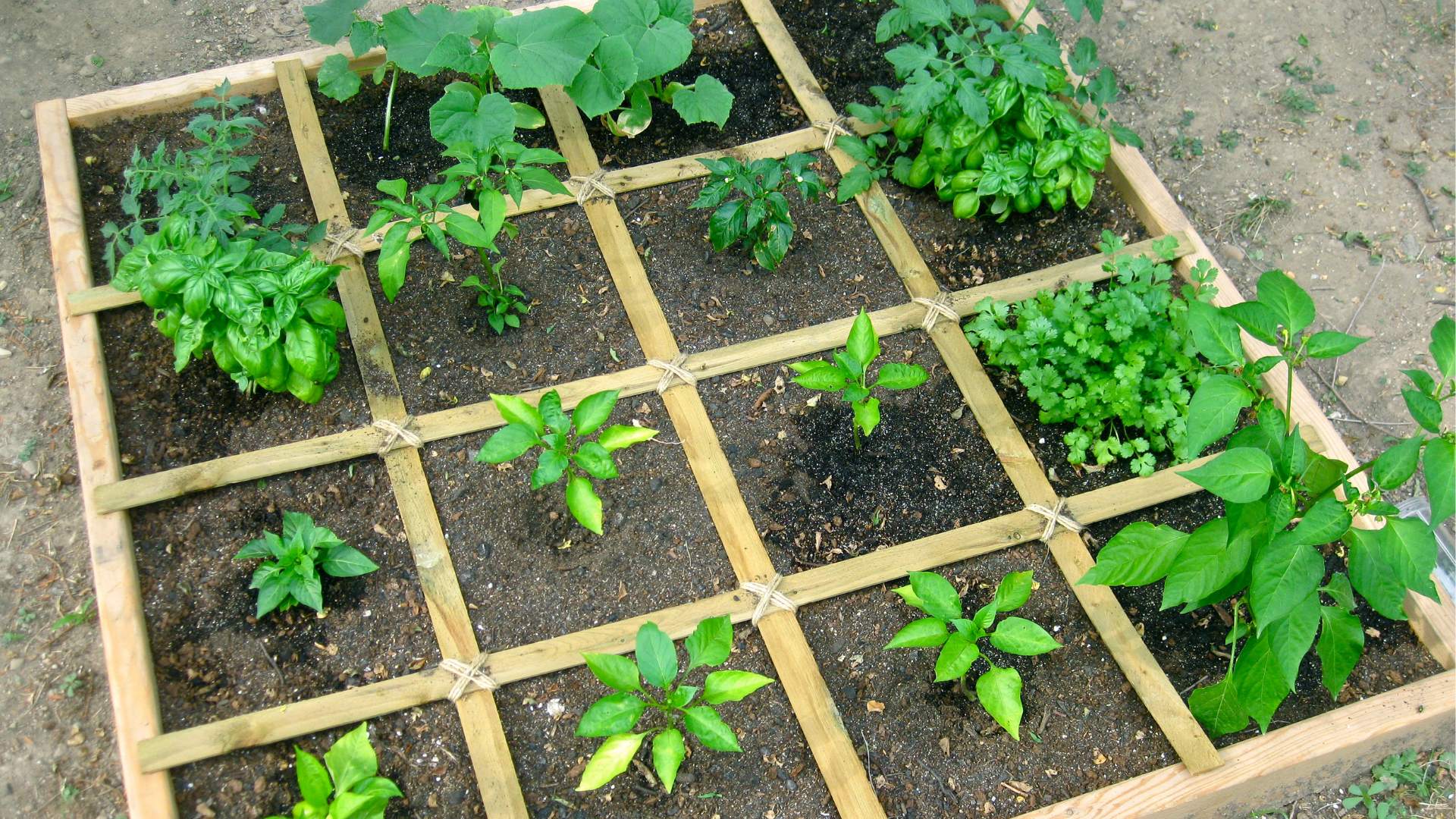 A Comprehensive Guide to Square-Foot Gardening
