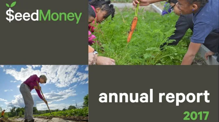 SeedMoney 2017 Annual Report