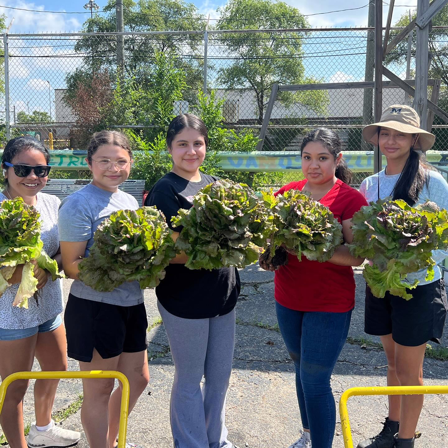 Garden campaign in action