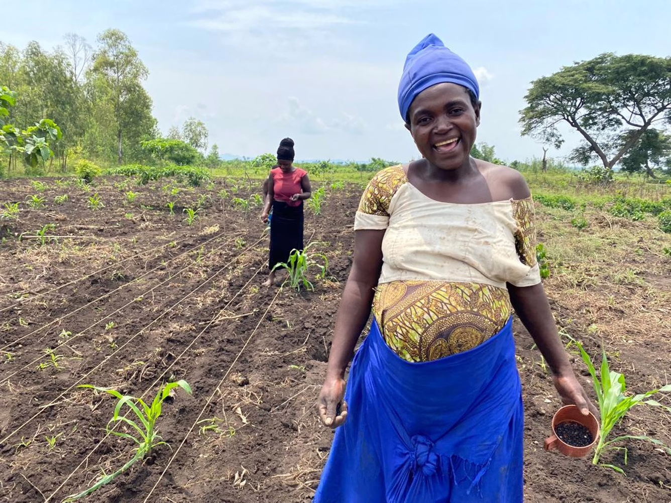 Food garden in the global south