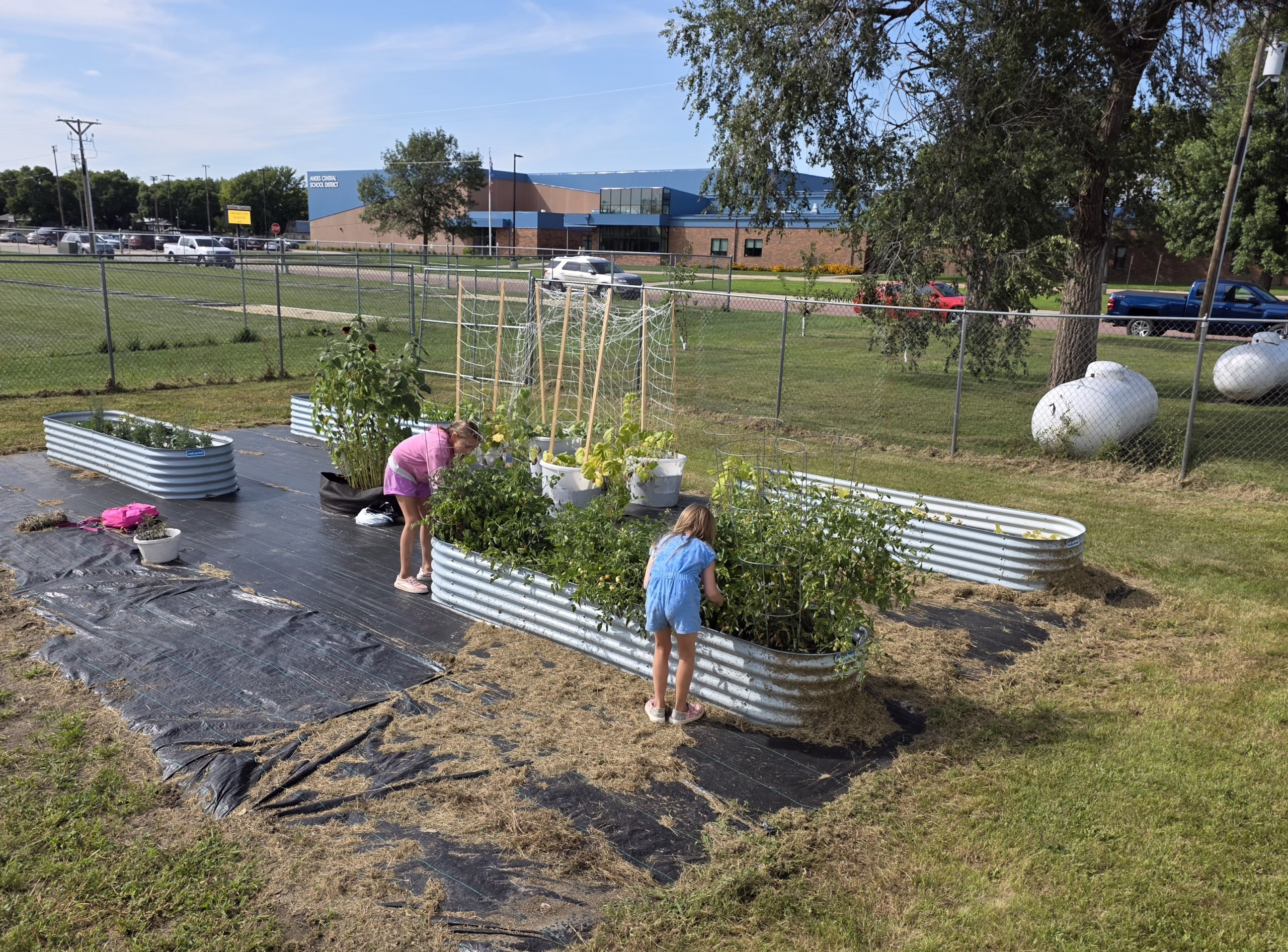 The youth garden at Lake Andes Public Library, South Dakota