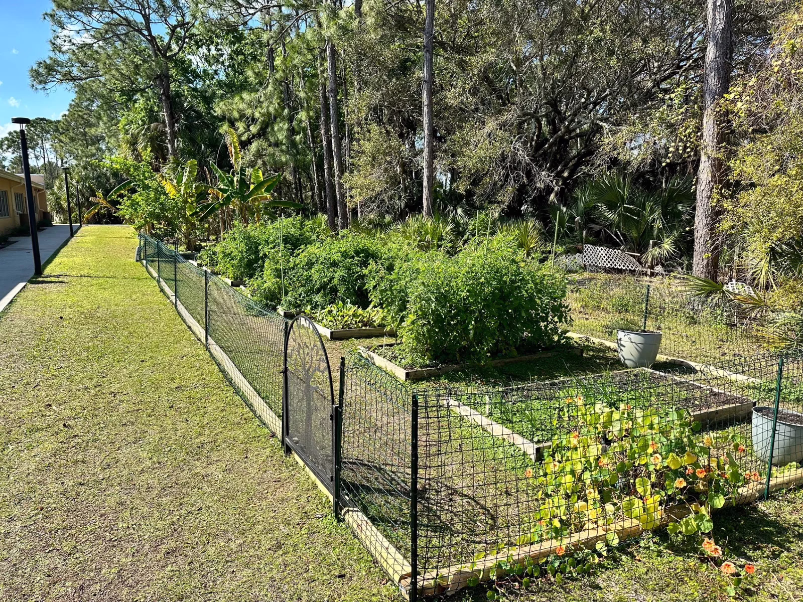 Students at the Odyssey Charter School farm in Palm Bay, Florida