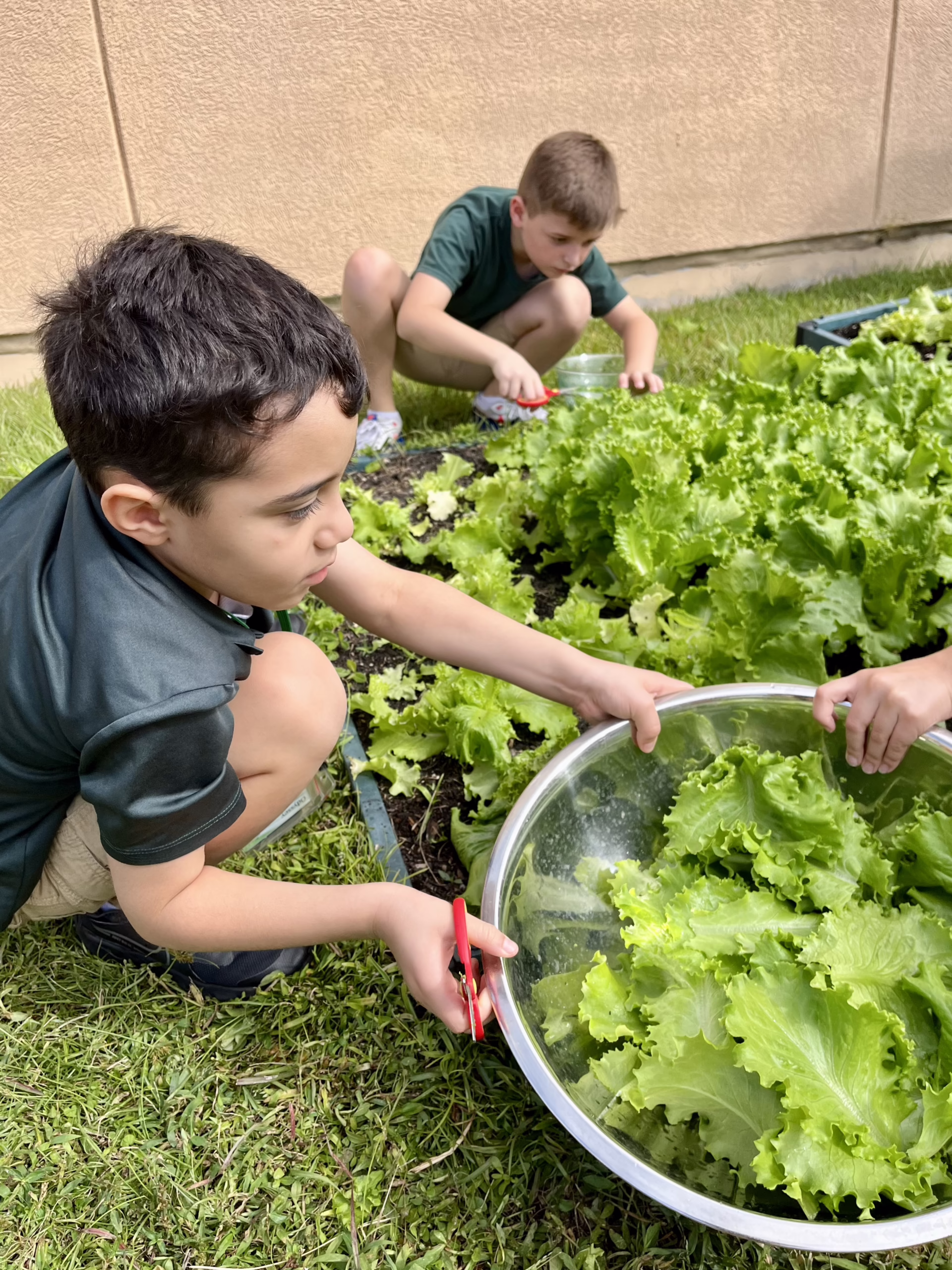 Students at the Odyssey Charter School farm in Palm Bay, Florida